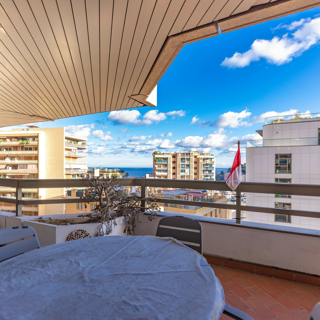 GRAND STUDIO VUE MER - Appartements à vendre à Monaco