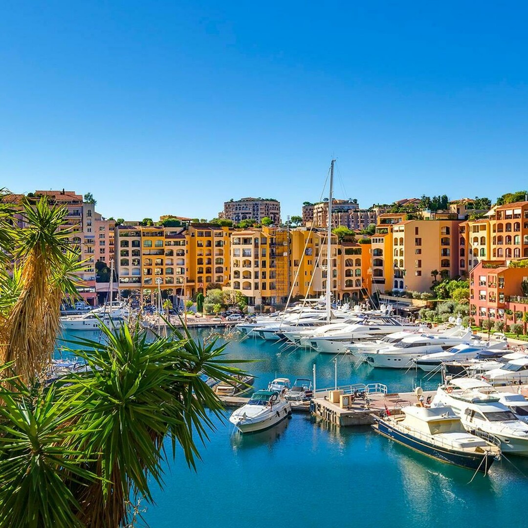 RARE GRANDE SURFACE A FONTVIEILLE - Appartements à vendre à Monaco