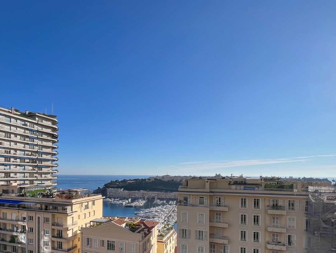 MAGNIFIQUE 3 PIECES REFAIT A NEUF - Appartements à vendre à Monaco