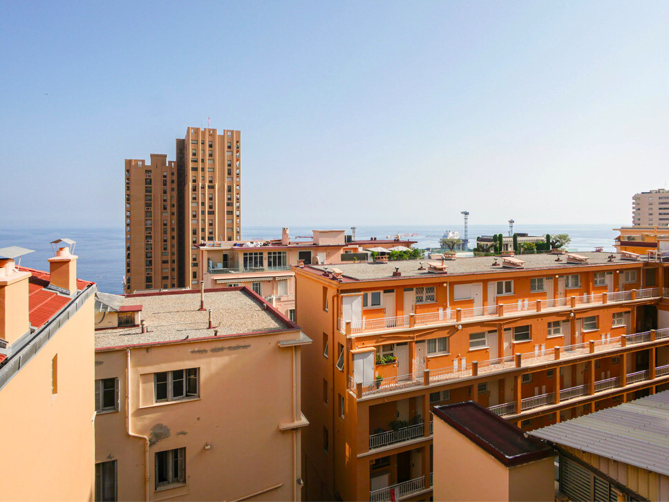 4 PIÈCES RÉNOVÉ - Appartements à vendre à Monaco