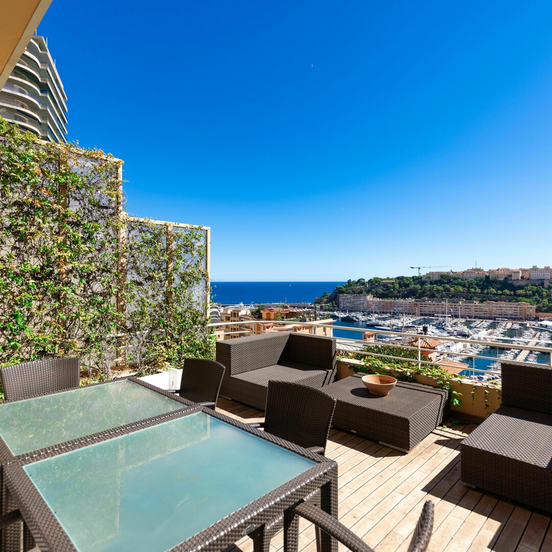 SPACIEUX 2 PIECES AVEC TERRASSE ET VUE MER - Appartements à vendre à Monaco