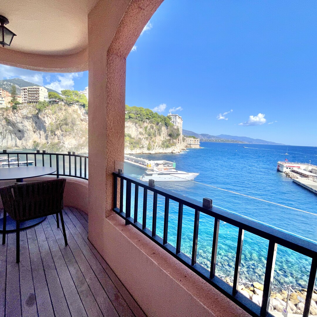 LARGE 2 PIECES LUXUEUX - Appartements à vendre à Monaco