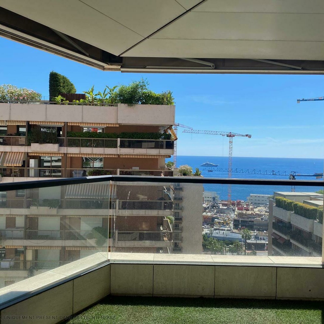 MAGNIFIQUE 5 PIECES - Appartements à vendre à Monaco