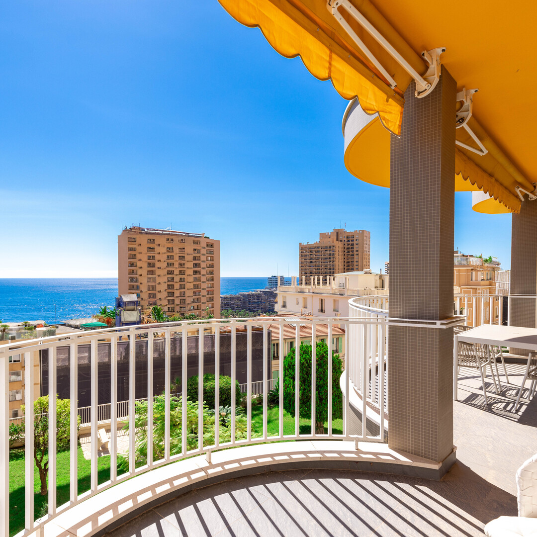 3 PIECES RÉNOVÉ VUE MER - Appartements à vendre à Monaco