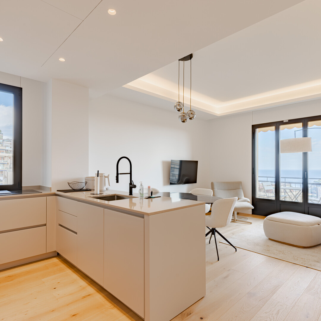 MAGNIFIQUE 3 PIECES RENOVE - Appartements à vendre à Monaco
