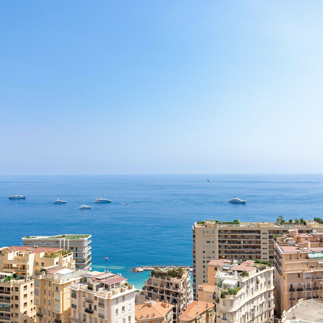 BEAU 2 PIECES EN ETAGE ELEVE - Appartements à vendre à Monaco