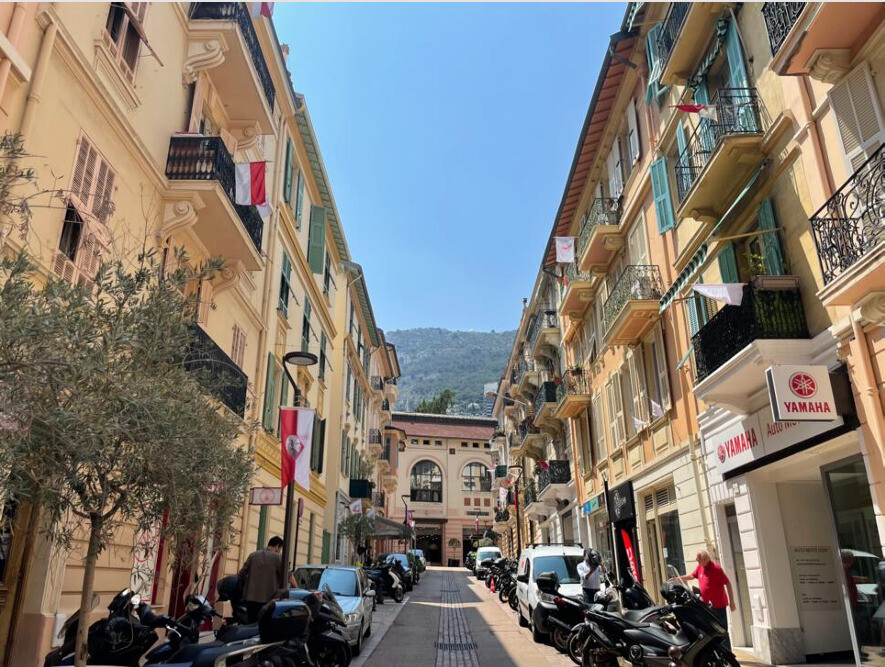 APPARTEMENT 2 PIECES PROCHE PORT HERCULE - Appartements à vendre à Monaco