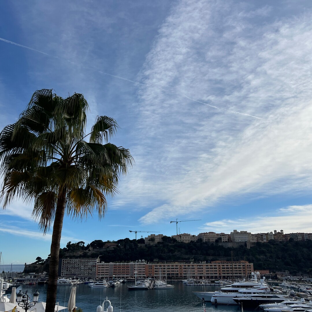 6 PIECES - VILLA MINERVE - Appartements à vendre à Monaco