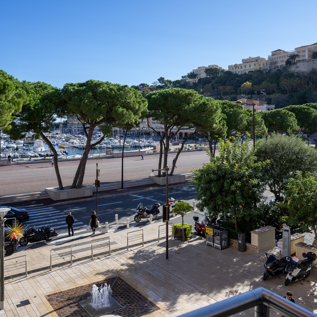 BEL APPARTEMENT 3P USAGE MIXTE - Appartements à vendre à Monaco