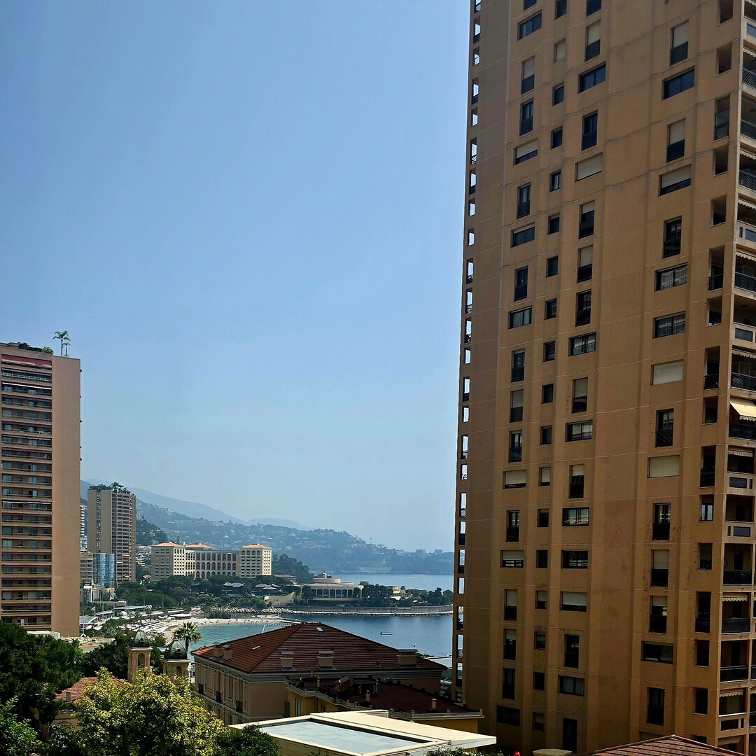 4 PIÈCES - ENTIEREMENT RÉNOVÉ PROCHE CARRÉ D'OR - Appartements à vendre à Monaco