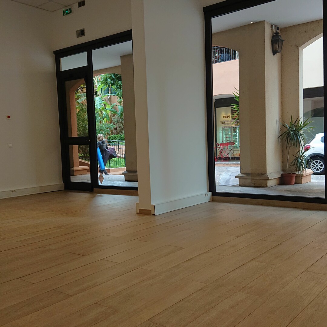 LE BOTTICELLI - Appartements à vendre à Monaco