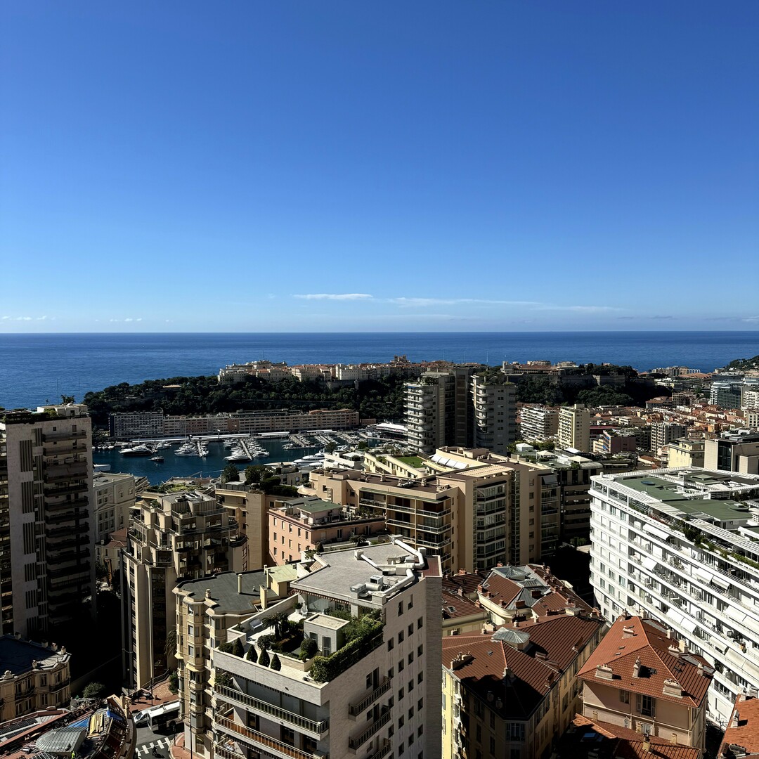 IMMEUBLE MILLEFIORI - Appartements à vendre à Monaco