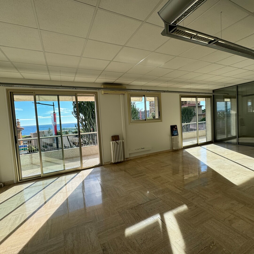 MONACO - LE TROCADERO