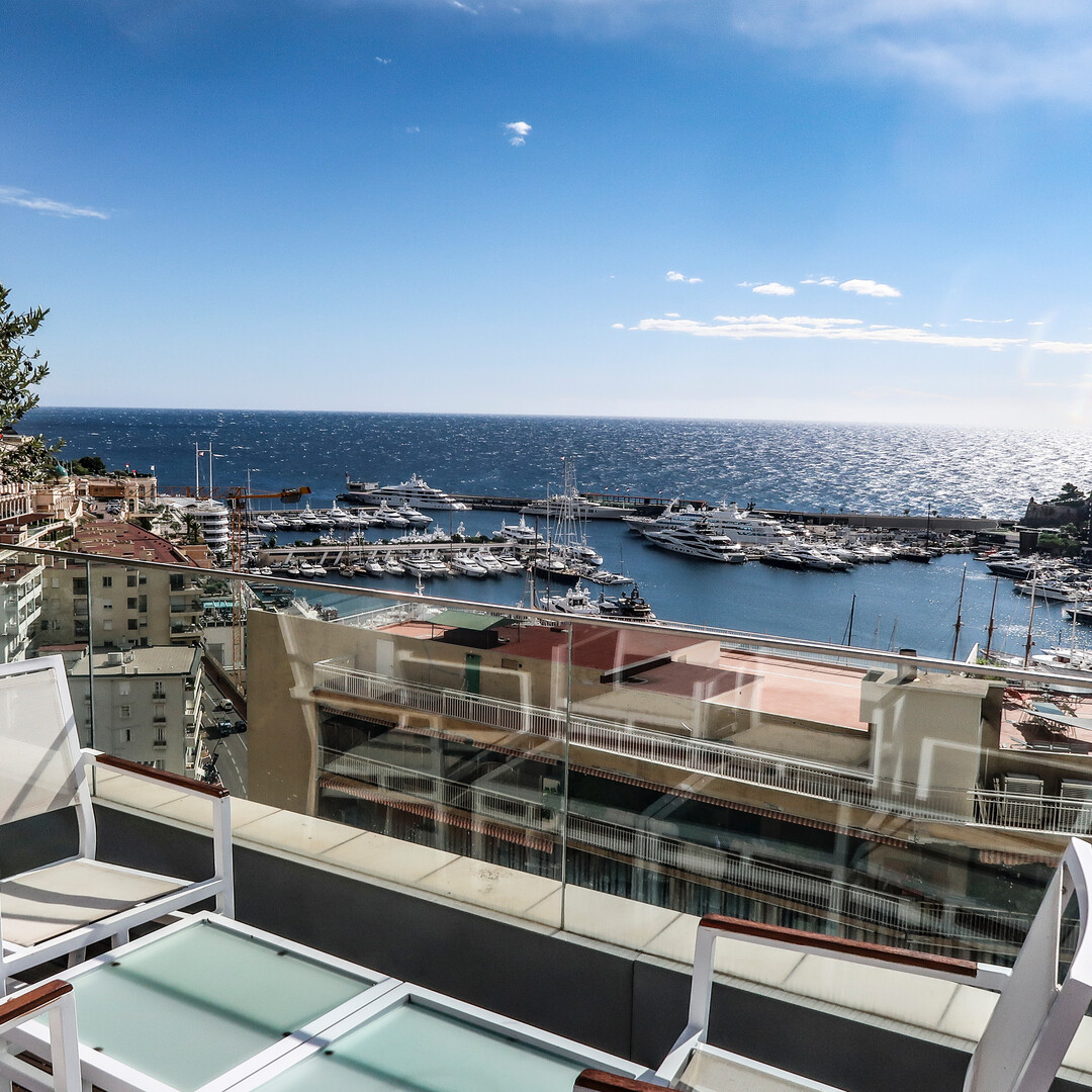 MAGNIFIQUE TRIPLEX PENTHOUSE AVEC VUE PANORAMIQUE SUR LE PORT