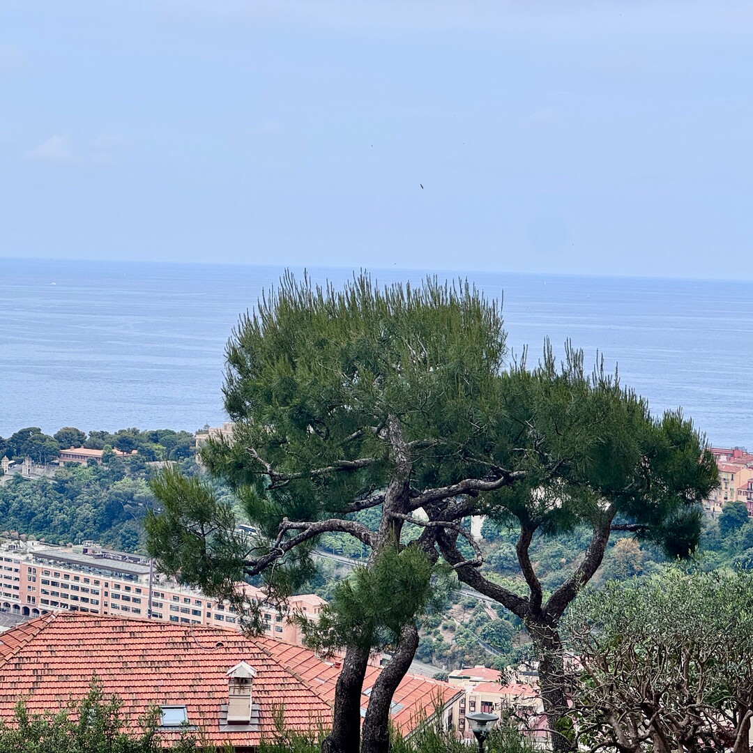 JARDIN EXOTIQUE  | LES LIGURES | 3 PIÈCES