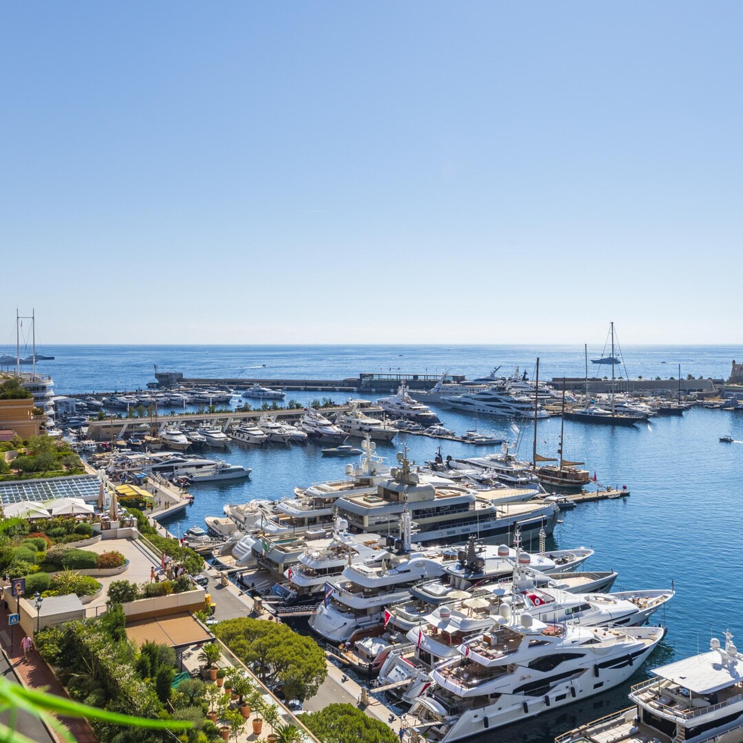 Vue grand prix F1 | 3 pièces | Port Hercule