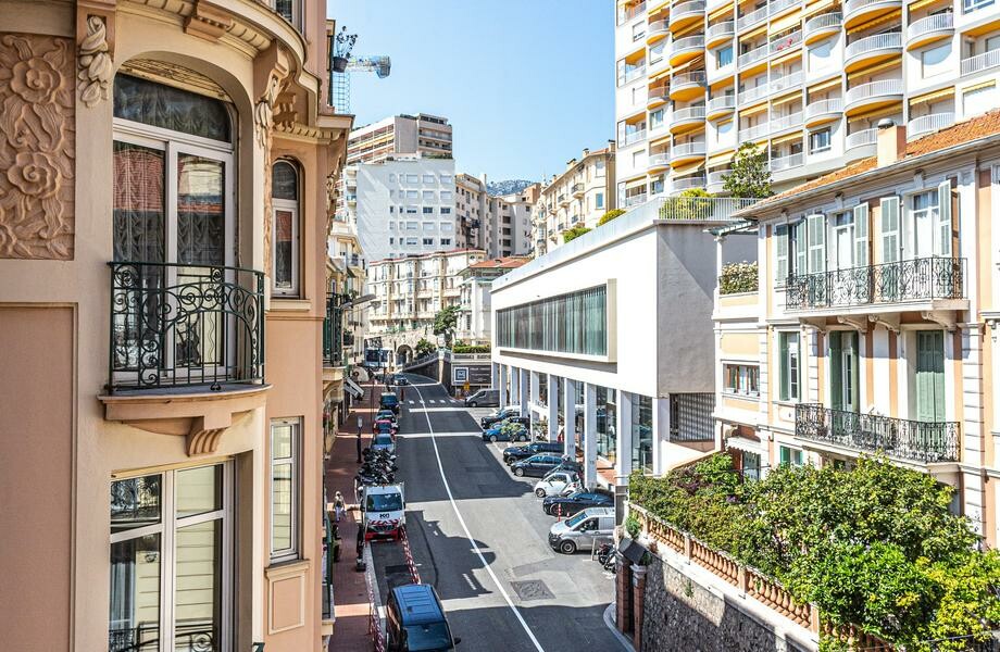Elégant 3 pièces bourgeois rénové - usage mixte