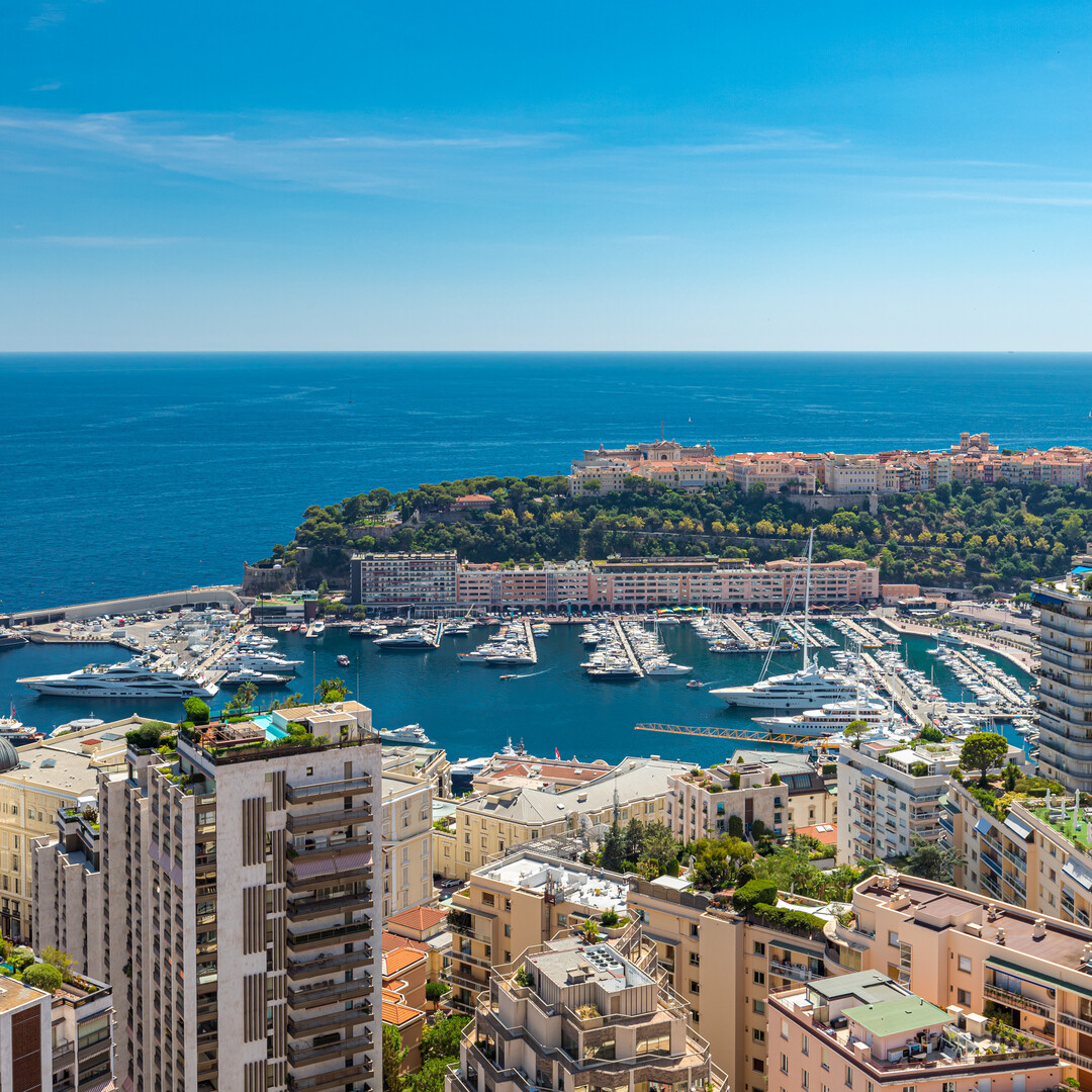 EN PLEIN COEUR DE MONTE-CARLO - VUE EPOUSTOUFLANTE