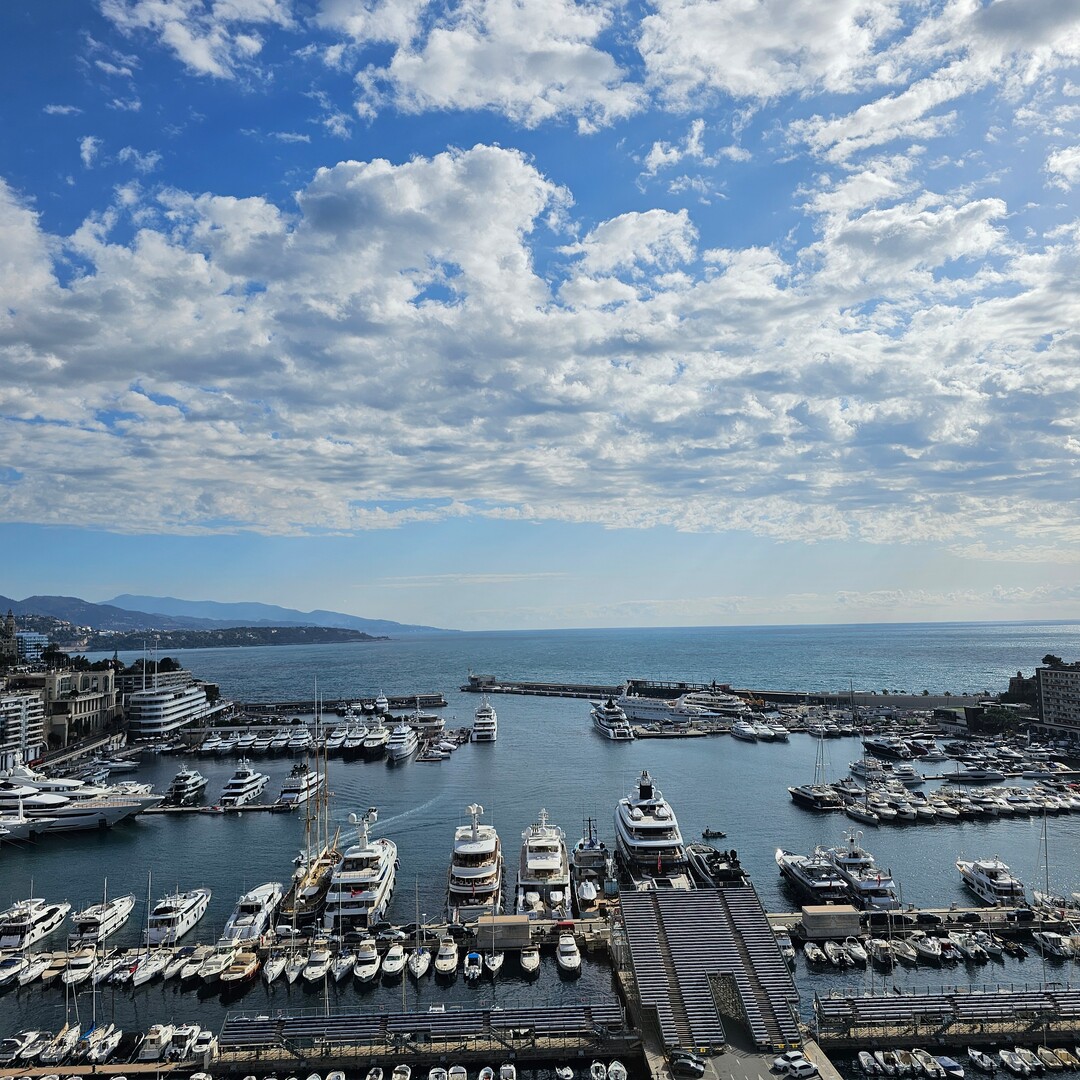 MAGNIFIQUE APPARTEMENT DUPLEX ROOF PORT HERCULE