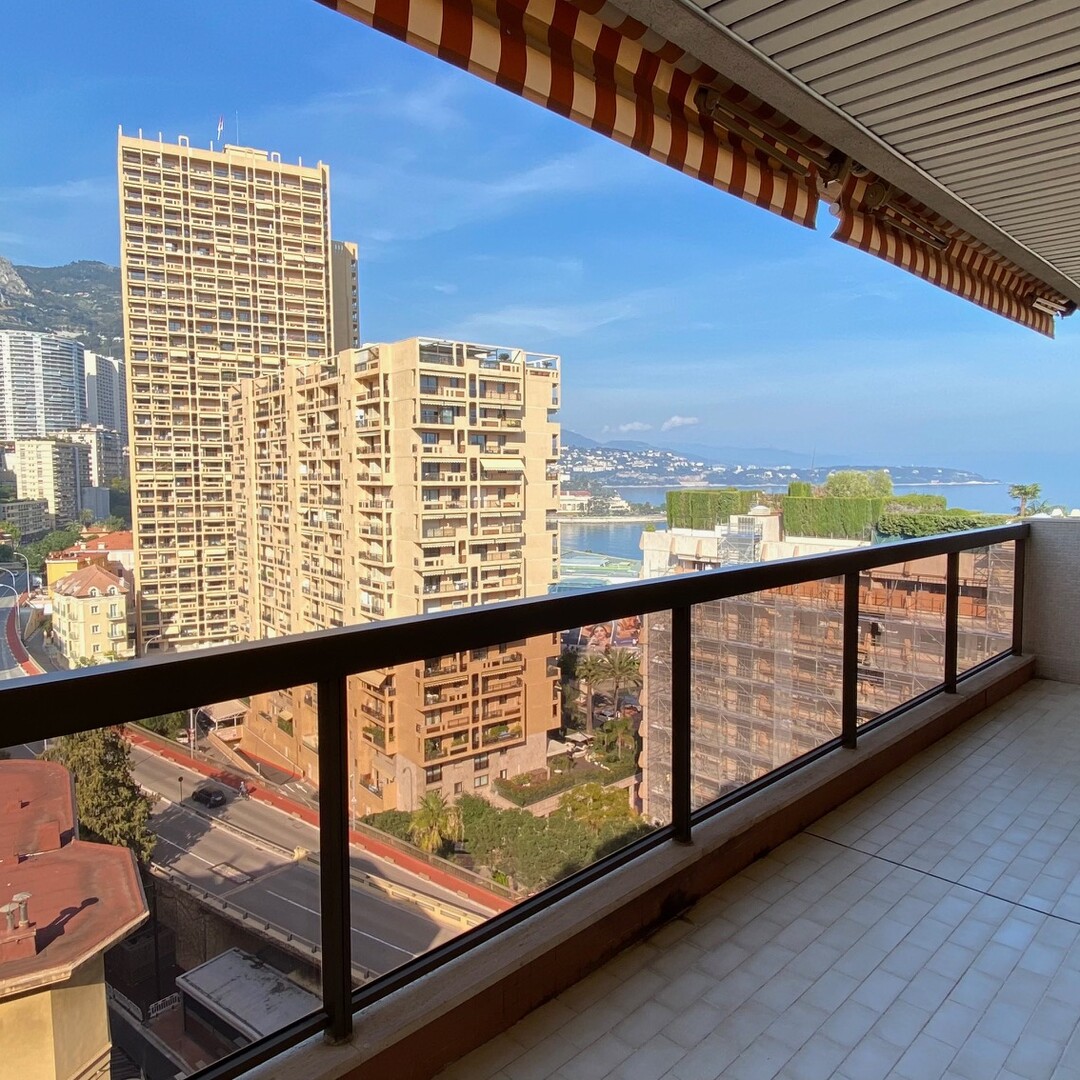 SUBLIME 2 PIECES RENOVE CENTRAL - Appartements à vendre à Monaco