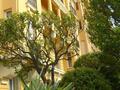 Élégant 2 pièces rénové dans immeuble bourgeois - Appartements à vendre à Monaco