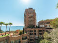 Studio Monte-Carlo Sun à usage mixte - Appartements à vendre à Monaco