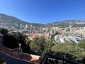 Vue spectaculaire et Unique sur Monaco - Appartements à vendre à Monaco
