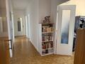 Spacieux 3 pièces libre de toute loi - Appartements à vendre à Monaco