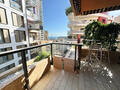 Studio à la vente aux Terrasses du Parc Saint Roman - Appartements à vendre à Monaco
