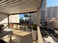 Deux pièces transformables en trois pièces au Park Palace - Appartements à vendre à Monaco