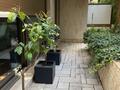 VENTE en VIAGER - LE PARK PALACE - Impasse de la Fontaine - Appartements à vendre à Monaco