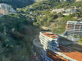 PARC SAINT ROMAN - Appartements à vendre à Monaco