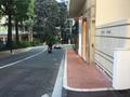 Av. Princesse Alice - FDC - Appartements à vendre à Monaco