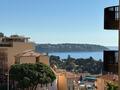 PARC SAINT ROMAN / STUDIO  RENOVE / PARKING - Appartements à vendre à Monaco