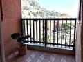 PARC SAINT ROMAN / STUDIO  RENOVE / PARKING - Appartements à vendre à Monaco