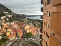PARC SAINT ROMAN / GRAND STUDIO  avec ESPACE NUIT /  CAVE ET PARKING - Appartements à vendre à Monaco