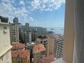 EXCLUSIVITE - 2 PIECES - LA RADIEUSE - Appartements à vendre à Monaco