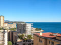 EXCLUSIVITÉ - APPARTEMENT 2 PIÈCES RÉNOVÉ - RADIEUSE - Appartements à vendre à Monaco