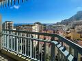 Appartement lumineux de deux pièces – Proche du Carré d'Or et de l'Hôtel de Paris - Appartements à vendre à Monaco
