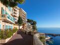 Rocher | 2 pièces | Idéal pied à terre - Appartements à vendre à Monaco