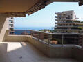 Jardin Exotique - 4 Pièces Patio Palace - Appartements à vendre à Monaco
