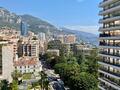 LUXUEUX 3 PIECES DANS LE CARRE D'OR - Appartements à vendre à Monaco