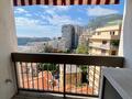 LUXUEUX 3 PIECES DANS LE CARRE D'OR - Appartements à vendre à Monaco