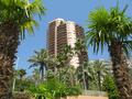 PARC SAINT ROMAN, COQUET STUDIO RENOVE - Appartements à vendre à Monaco
