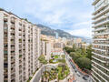 PARK PALACE - Appartement 3 Pièces – Résidence de Standing au Carré d’Or - Appartements à vendre à Monaco
