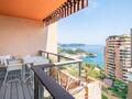 PARC SAINT ROMAN - Studio Meublé Rénové - Vue Mer - Appartements à vendre à Monaco