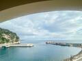 Studio vue mer panoramique - Piscine - Appartements à vendre à Monaco