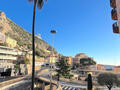 Parc Saint Roman - Grand studio très bon état - libre rapidement - Appartements à vendre à Monaco