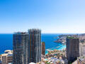 MAGNIFIQUE 2 PIECES VUE MER RENOVE - Appartements à vendre à Monaco