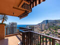 MAGNIFIQUE 2 PIECES VUE MER RENOVE - Appartements à vendre à Monaco